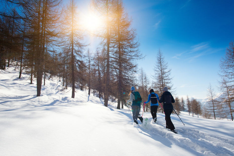 Aviatico in provincia di Bergamo 