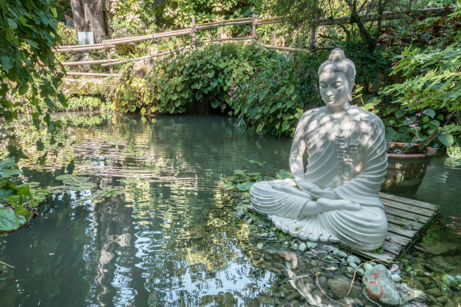 Fioriture al Giardino Botanico Heller