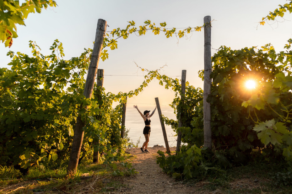 Yoga tra i vigneti in Franciacorta (BS)