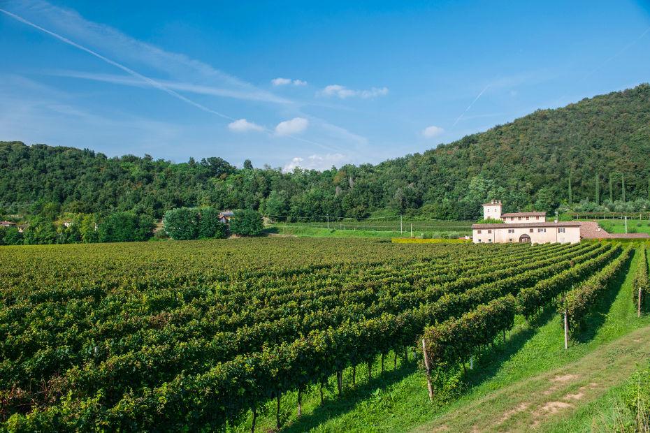 Fra le bollicine e i sapori della Franciacorta