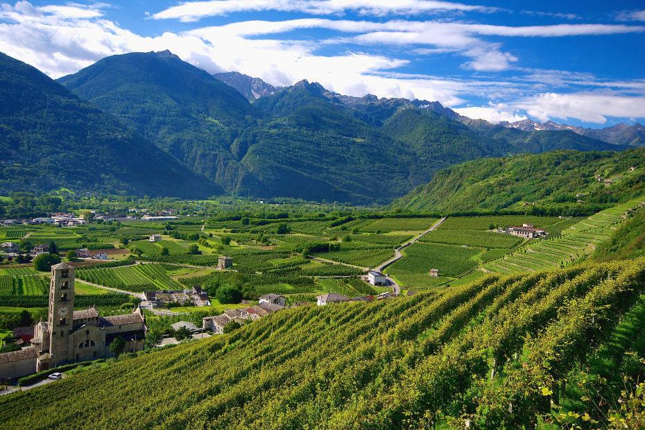 Immersi nella natura della Valtellina