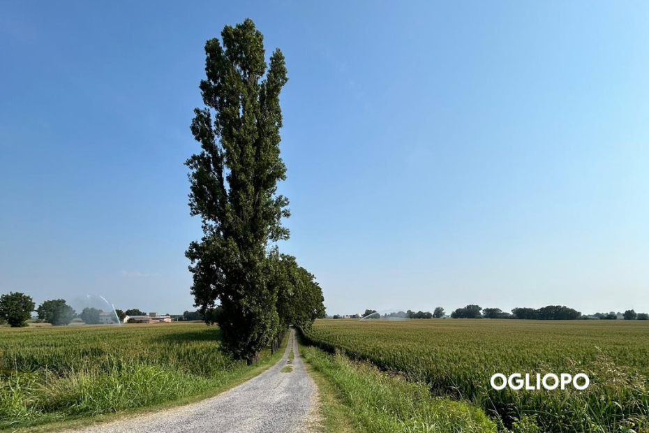 Veduta di campagna del territorio dell' Oglio Po