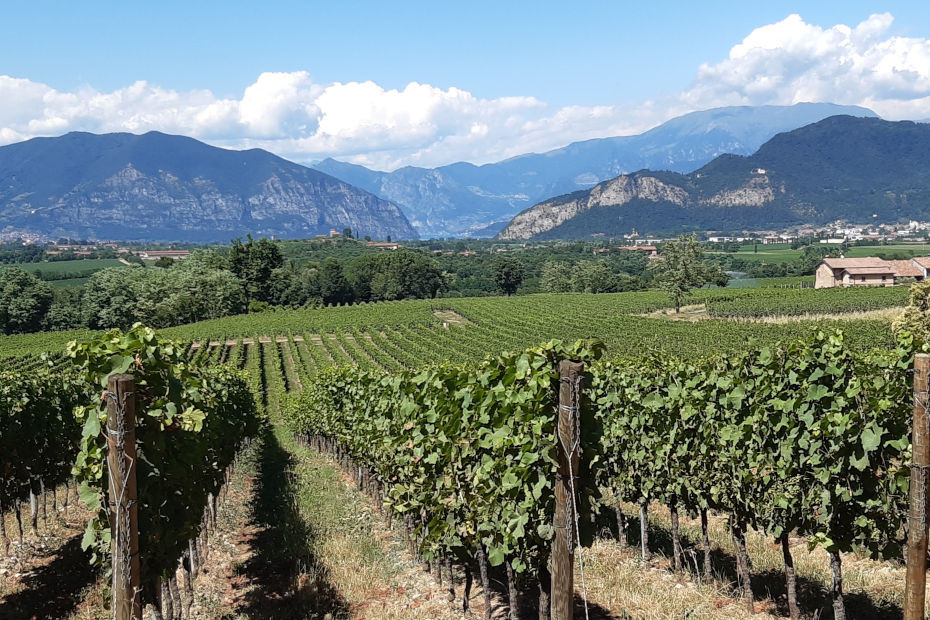 Località Boschi, Calino (BS)