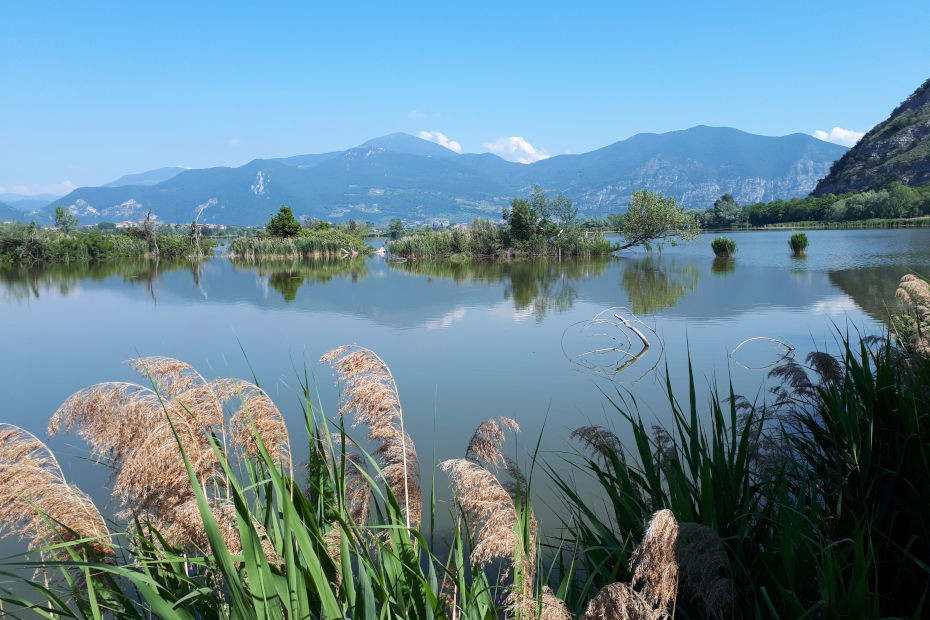 Riserva Naturale Torbiere del Sebino, Provaglio d'Iseo (BS)