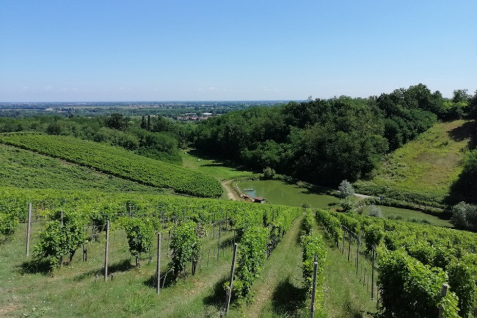 Parco collinare di San Colombano