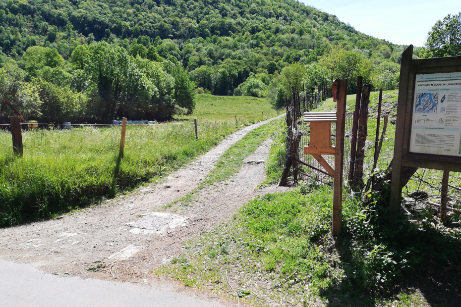 Da Canzo verso Castelmarte in località Camiglia.