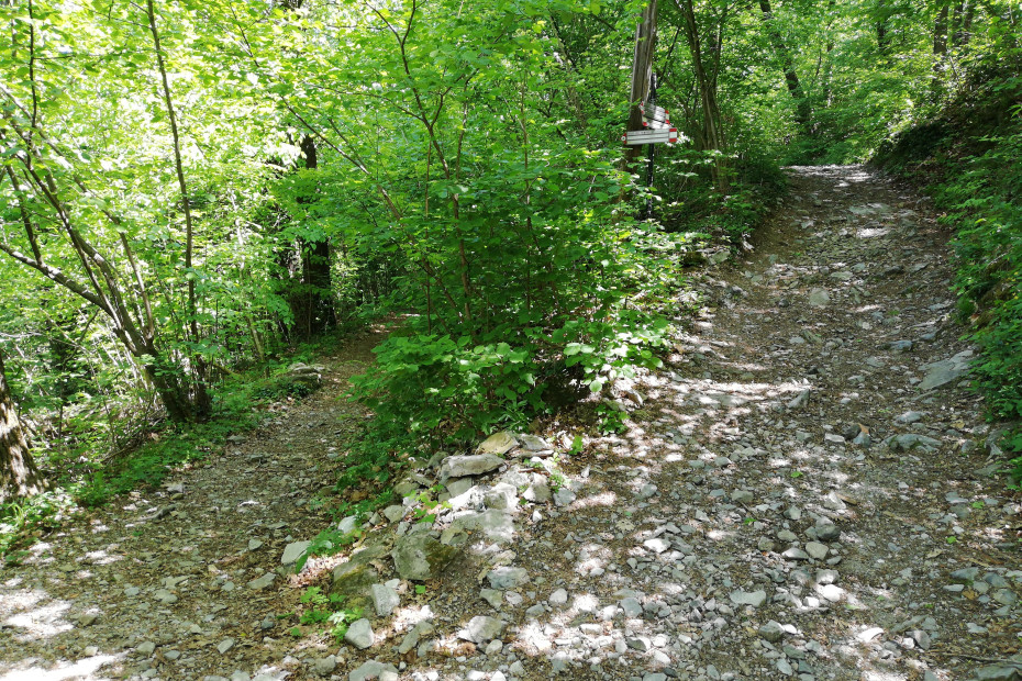 Deviazione nel bosco verso il Sasso del Numero seguendo i cartelli CAI.