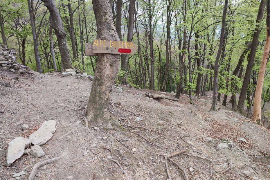 Cartelli segnavia di legno verso l'Alpe di Lemna.