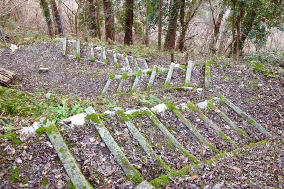 Scalinata in pietra in mezzo al bosco