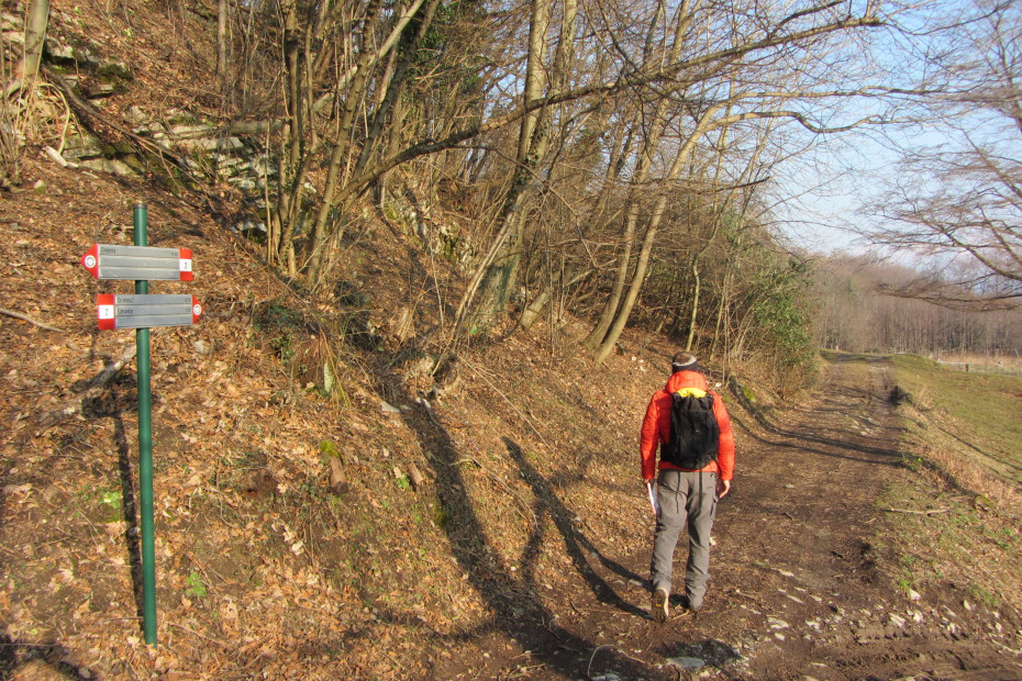 Il sentiero nel bosco è ben segnalato con frecce in alluminio bianche e rosse