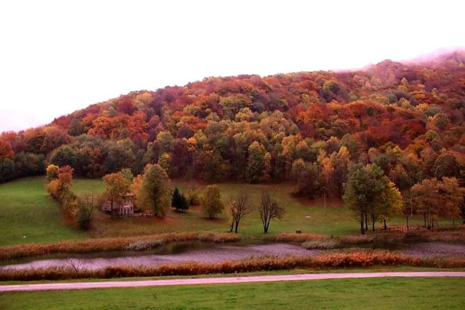 Il foliage autunnale a Crezzo: colori meravigliosi dei faggi