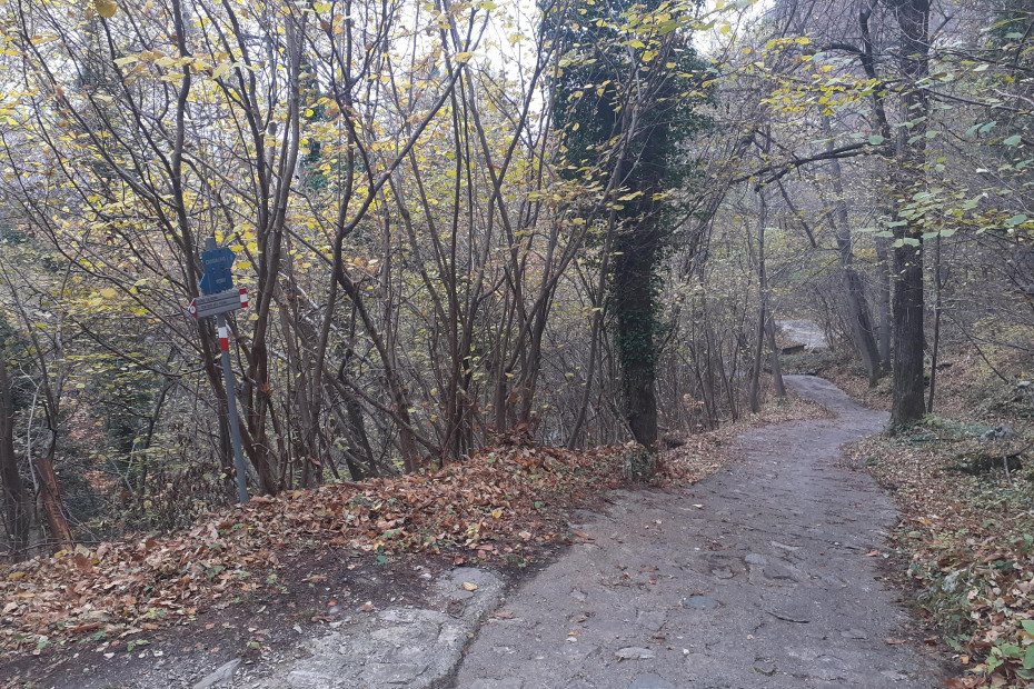 Frecce blu sugli alberi a fianco della mulattiera 