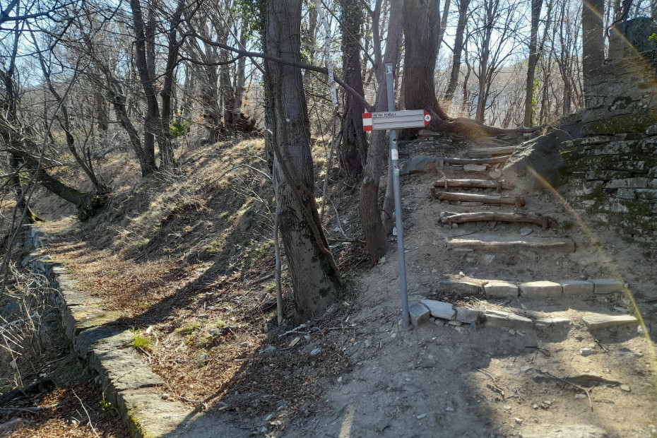 Scalinata in mezzo al bosco