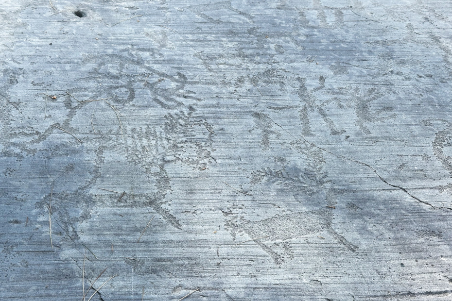 Dettaglio di una roccia con incisioni al Parco Atcheologico di Naquane