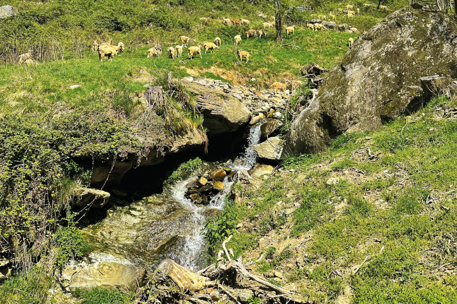 Paesaggio tra Cevo e Sonico
