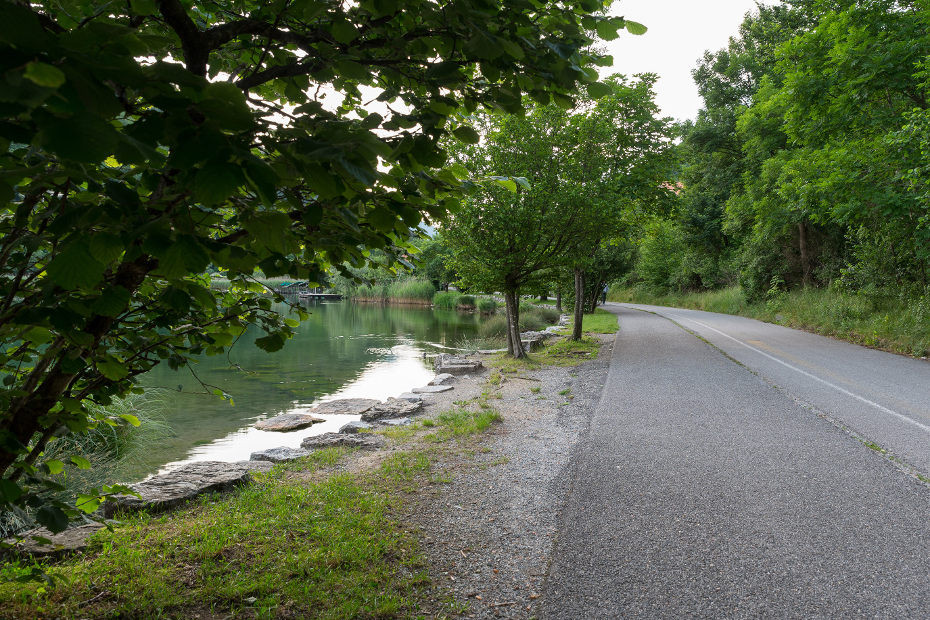 The Bike Trail