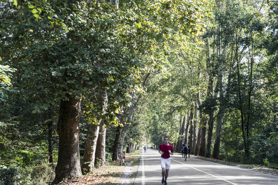 PARCO DI MONZA