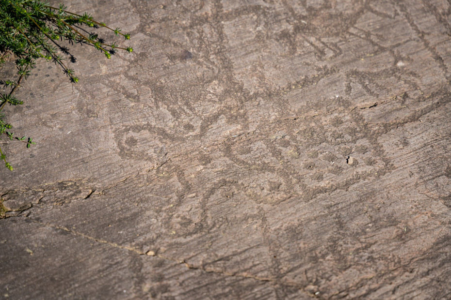 Rosa Camuna_Parco di Seradina-Bedolina