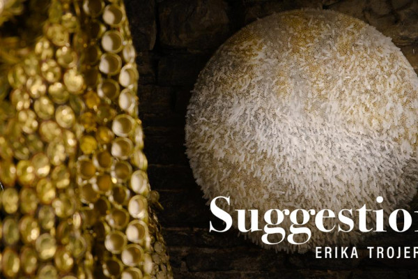 Suggestioni. Erika Trojer