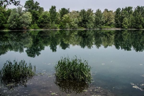 Licenza: CC0 | Crediti: CC0