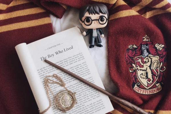 “Il mondo di Harry Potter“