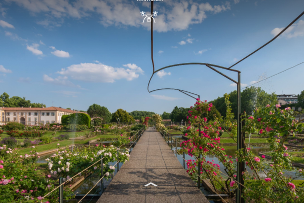 Roseto Niso Fumagalli