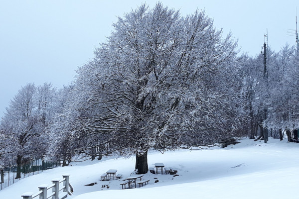 Al Rifugio Monte Poieto, tra due valli 