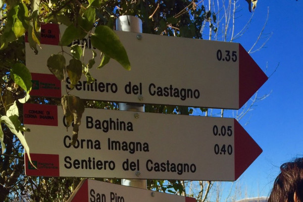 Il Sentiero del Castagno