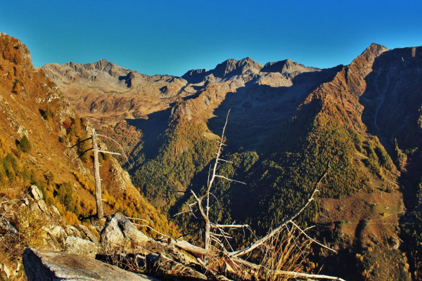 Lungo il Tracciolino al Rifugio Frasnedo 