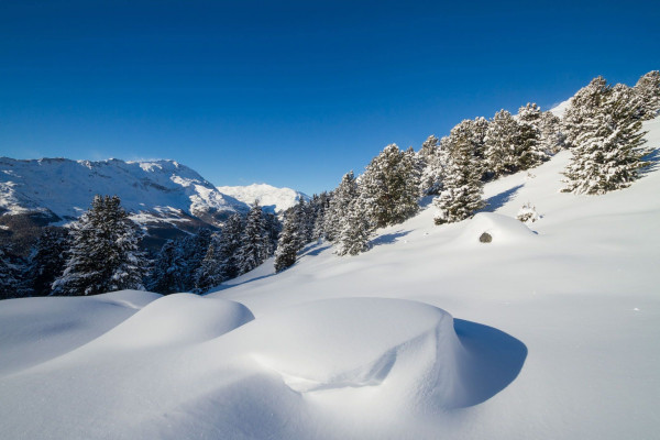 Al Pradaccio per il Rif. Stella Alpina