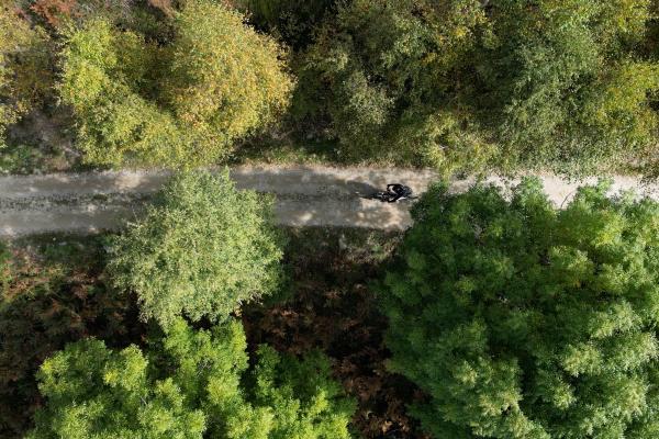 Sentiero verso Camaggiore 