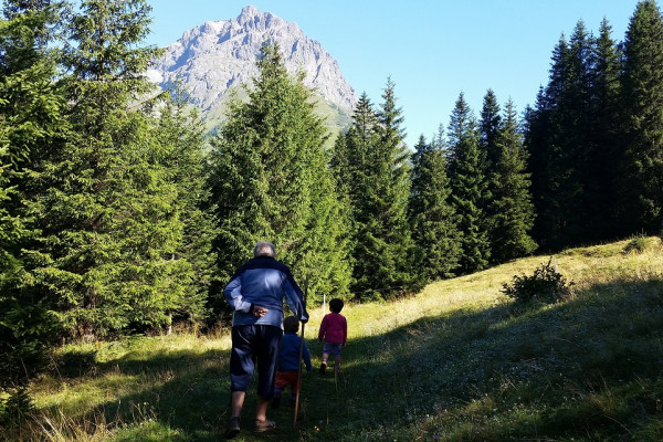 facile passeggiata a piedi nel bosco