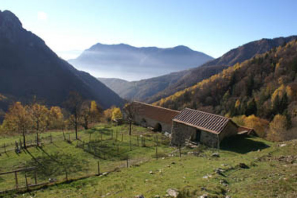 Alpe Erba