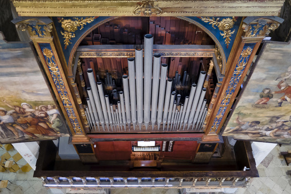 Cattedrale - Organo