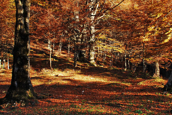 Passo Baremone Autunnale