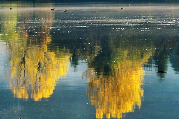 Riflessi nel lago