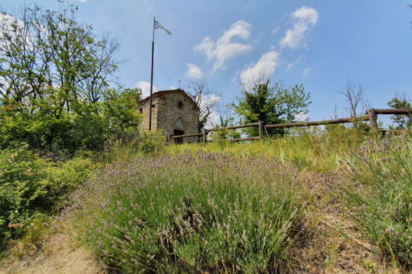 Antica Pieve della Madonna dell'Uva 