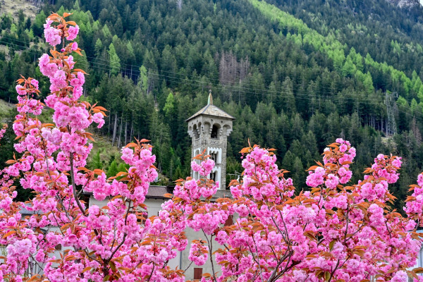 Primavera a Cepina