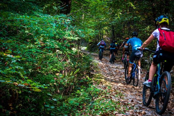 Il Bosco su due ruote 