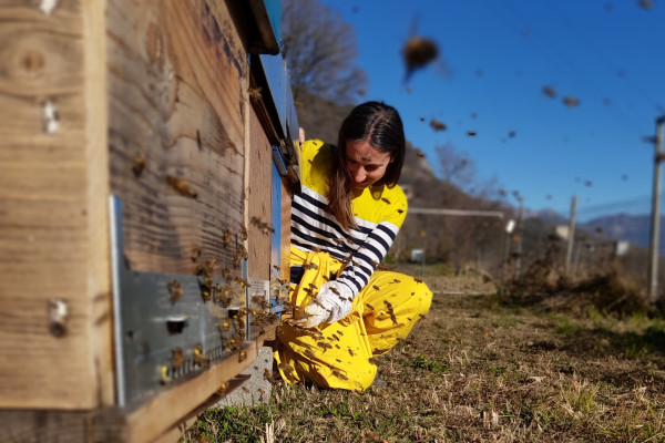 Marta controlla le api