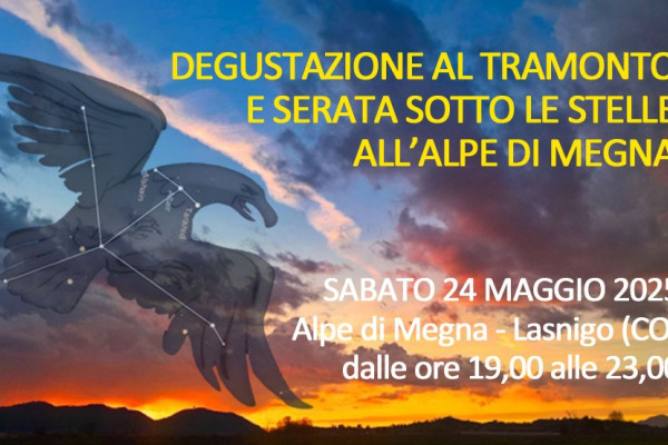Locandina serata