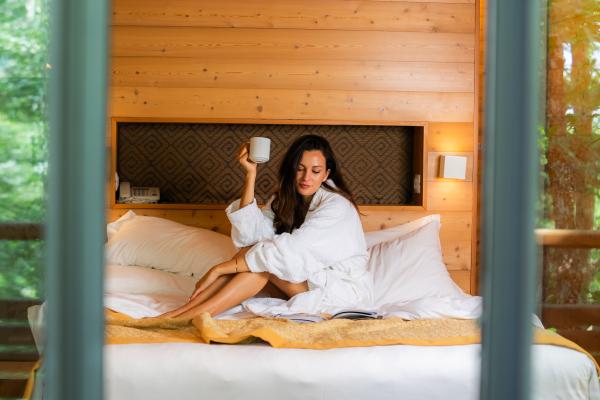 Suite tra gli Alberi