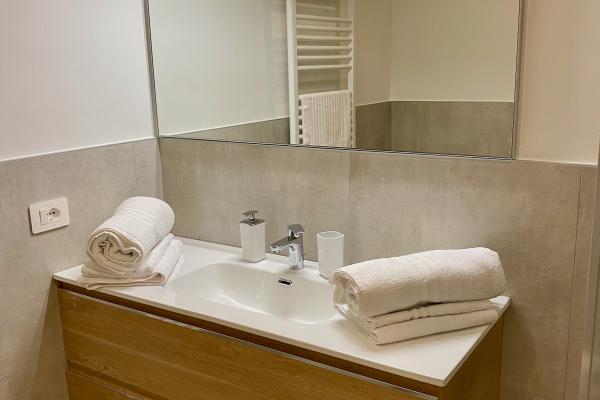 Private bathroom with shower and hairdryer