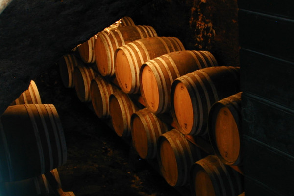 Cantina di stagionatura dei rossi di Valtellina