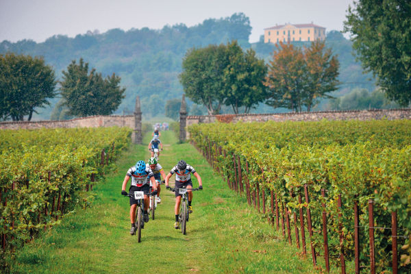 Passaggio nei vigneti Franciacorta