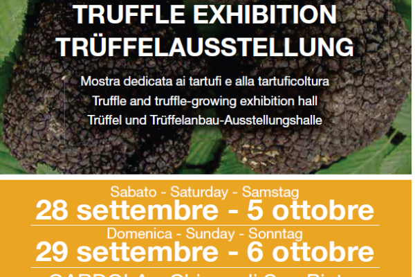 Tignale_esposizione_tartufi
