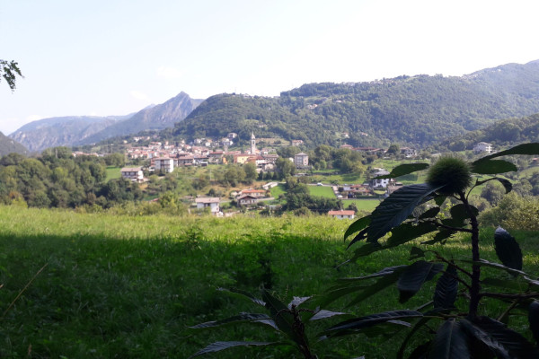 La via delle Castagne_Punto panoramico. Zogno