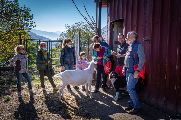 Visita alla fattoria locale