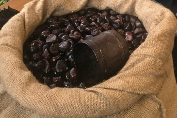 Festa dei Biligòcc Castegnone