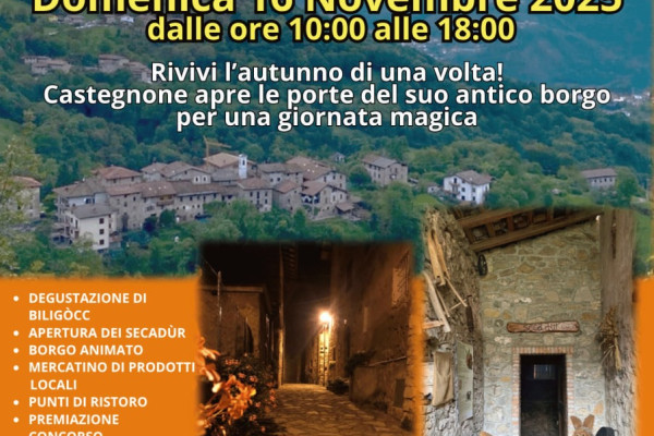 Locandina festa dei Biligòcc